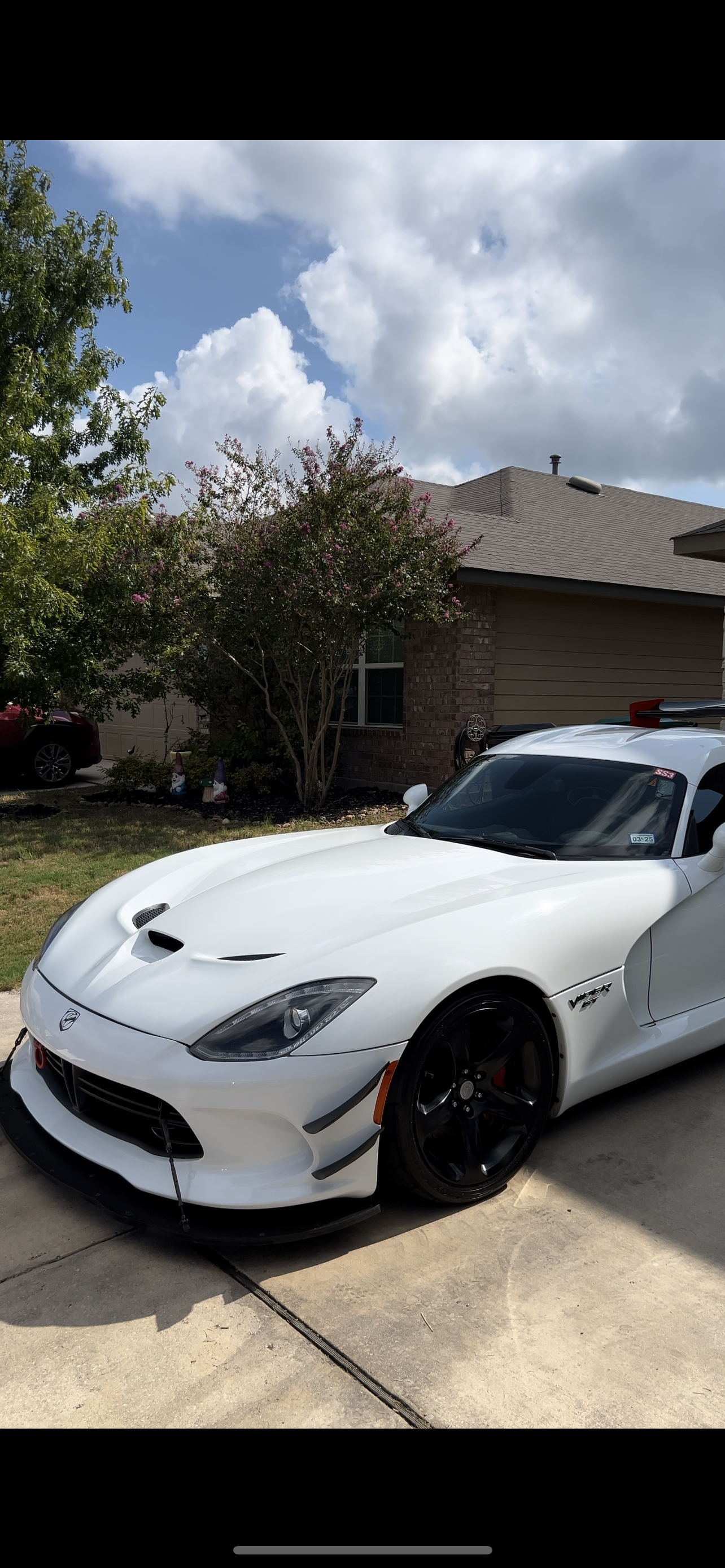 Dodge Viper protected finish